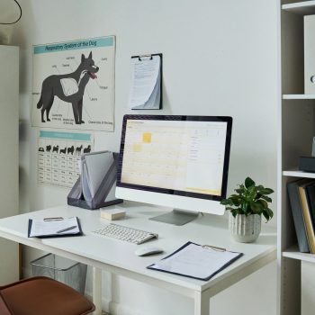 Veterinary Clinic Office Showing Digital Scheduling Workspace